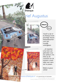 Sheeque nieuwsbrief augustus 2019